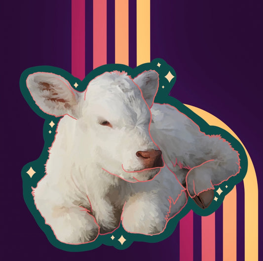 Albino White Calf Baby Cow Matte Vinyl Sticker - Fiat Lux Illustration