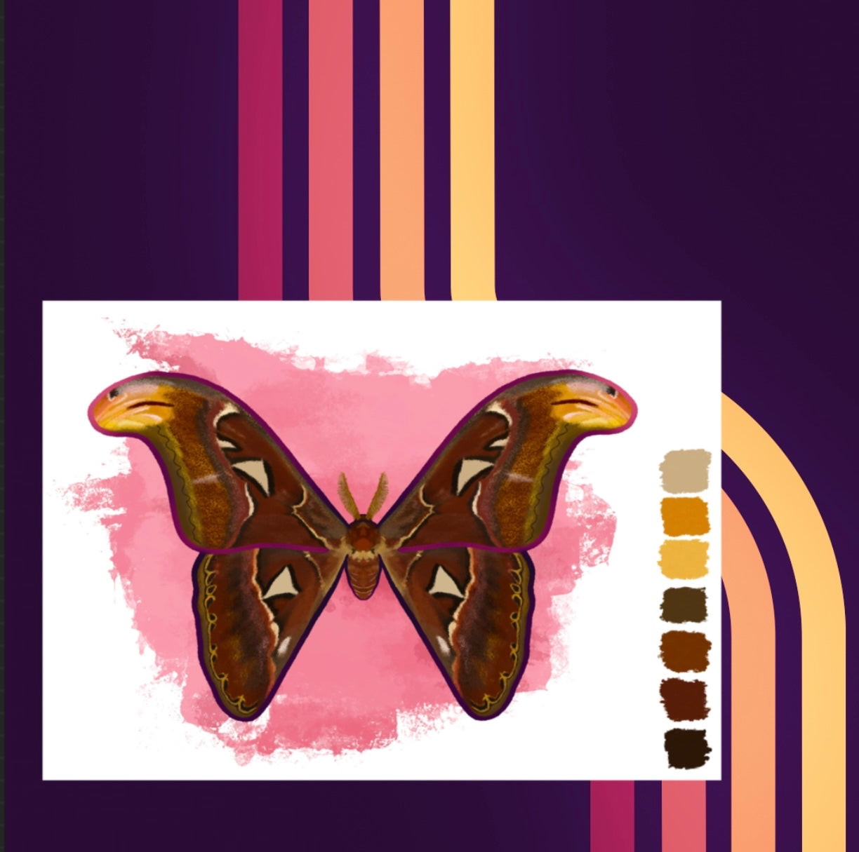 Digital Sketchbook 5x7 Print Atlas Moth Illustration