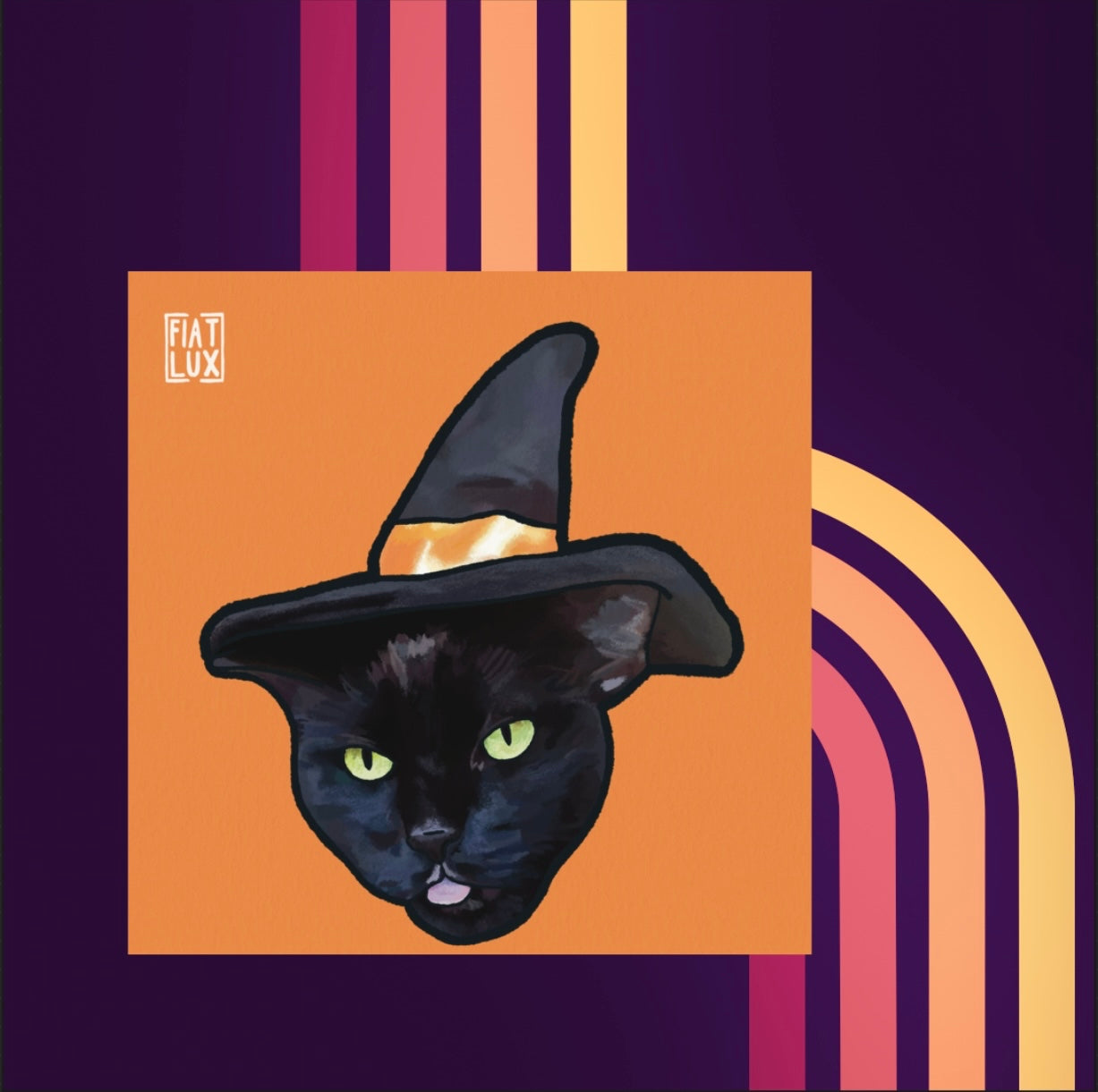 Art print of a black cat in a black witch hat on a solid orange background.
