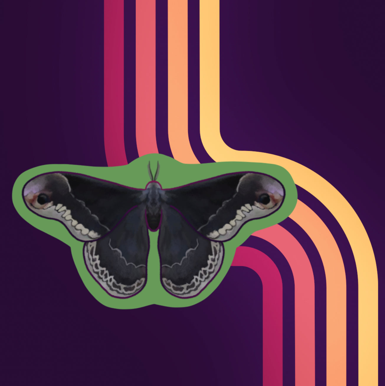 Vinyl Sticker of an Promethea Silkmoth with a light green background