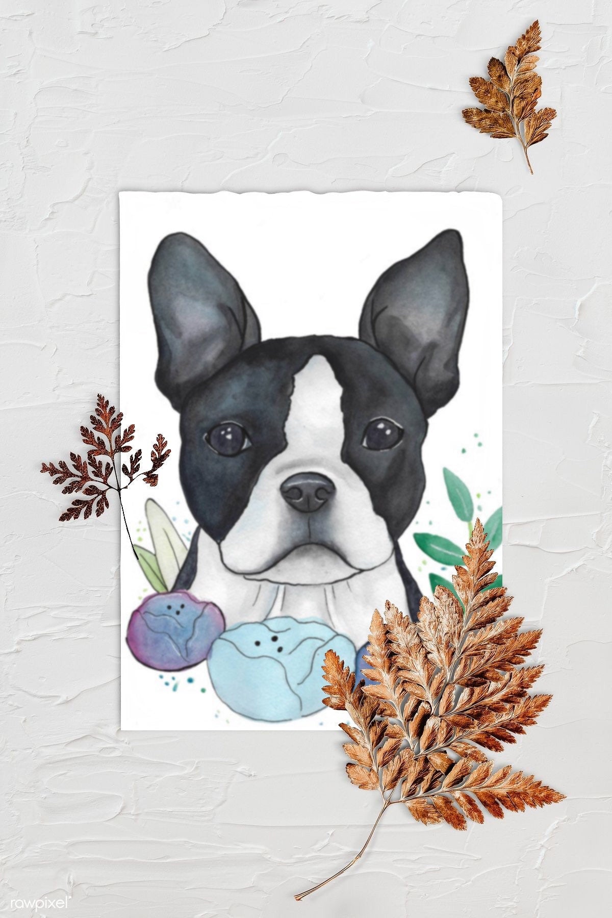 Boston Terrier Black White Dog Art Blue Floral Pet Portrait | Watercolor Art Print. Background is textured white with three browned fern leaves. Art print is lying in center with rough edges.