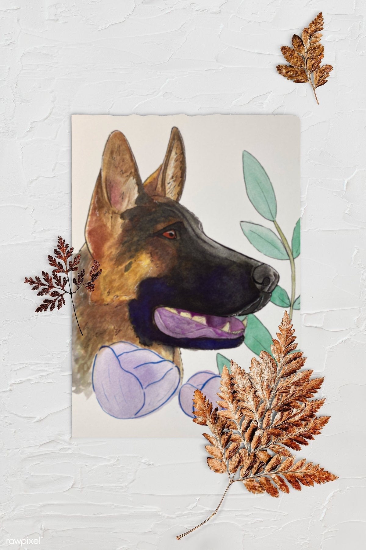 German Shepard Floral Pet Portrait - Watercolor Print. Background is textured white with three browned fern leaves. Art print is lying in center with rough edges.