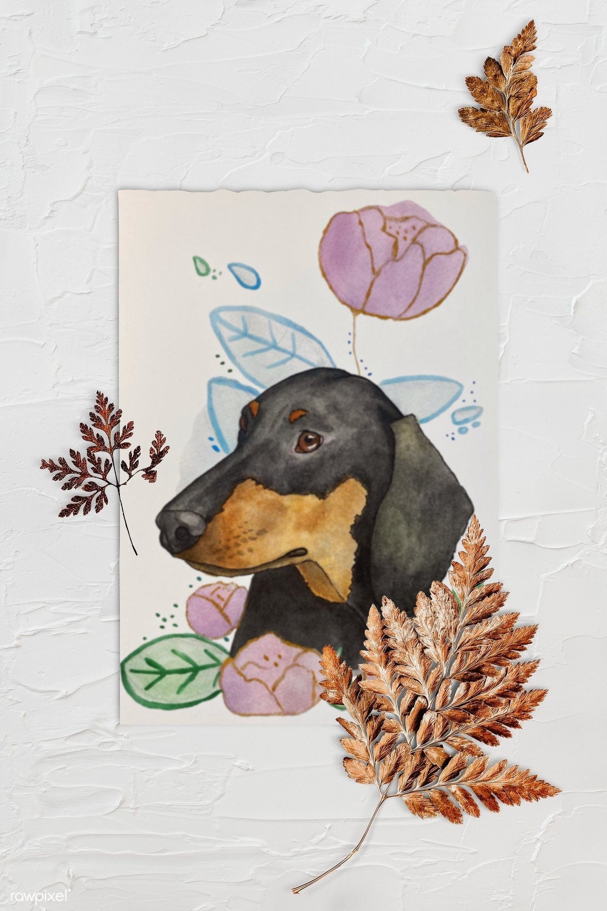 Brown and Black Dachshund Doxie Floral Pet Portrait | Watercolor Print. Background is textured white with three browned fern leaves. Art print is lying in center with rough edges.