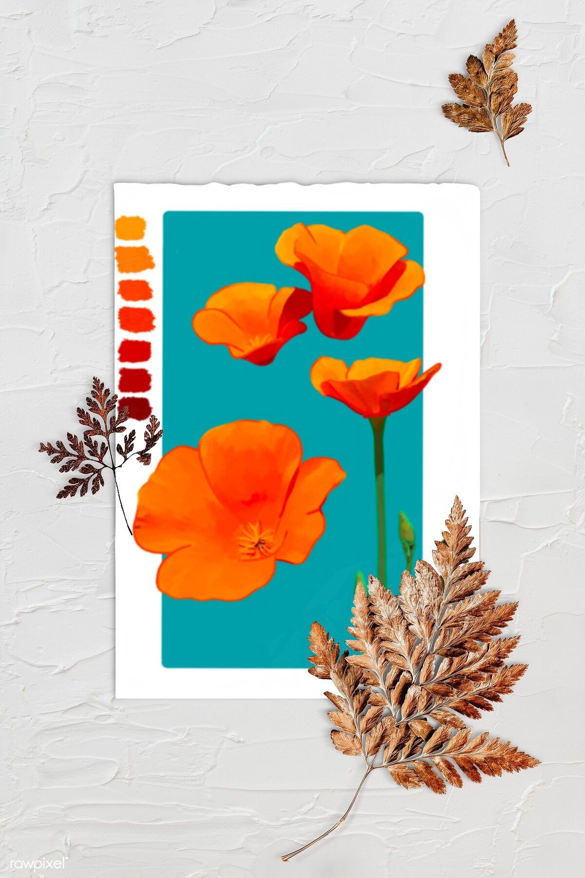Digital Sketchbook 5x7 Print California Poppies Illustration State Flower Art. Background is textured white with three browned fern leaves. Art print is lying in center with rough edges.