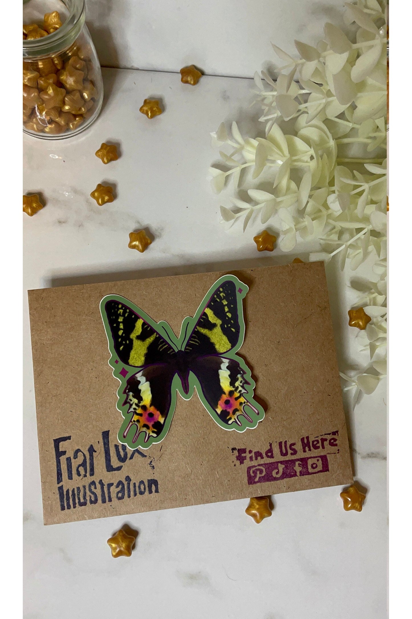 Moths Sticker Pack (Set of 4).
