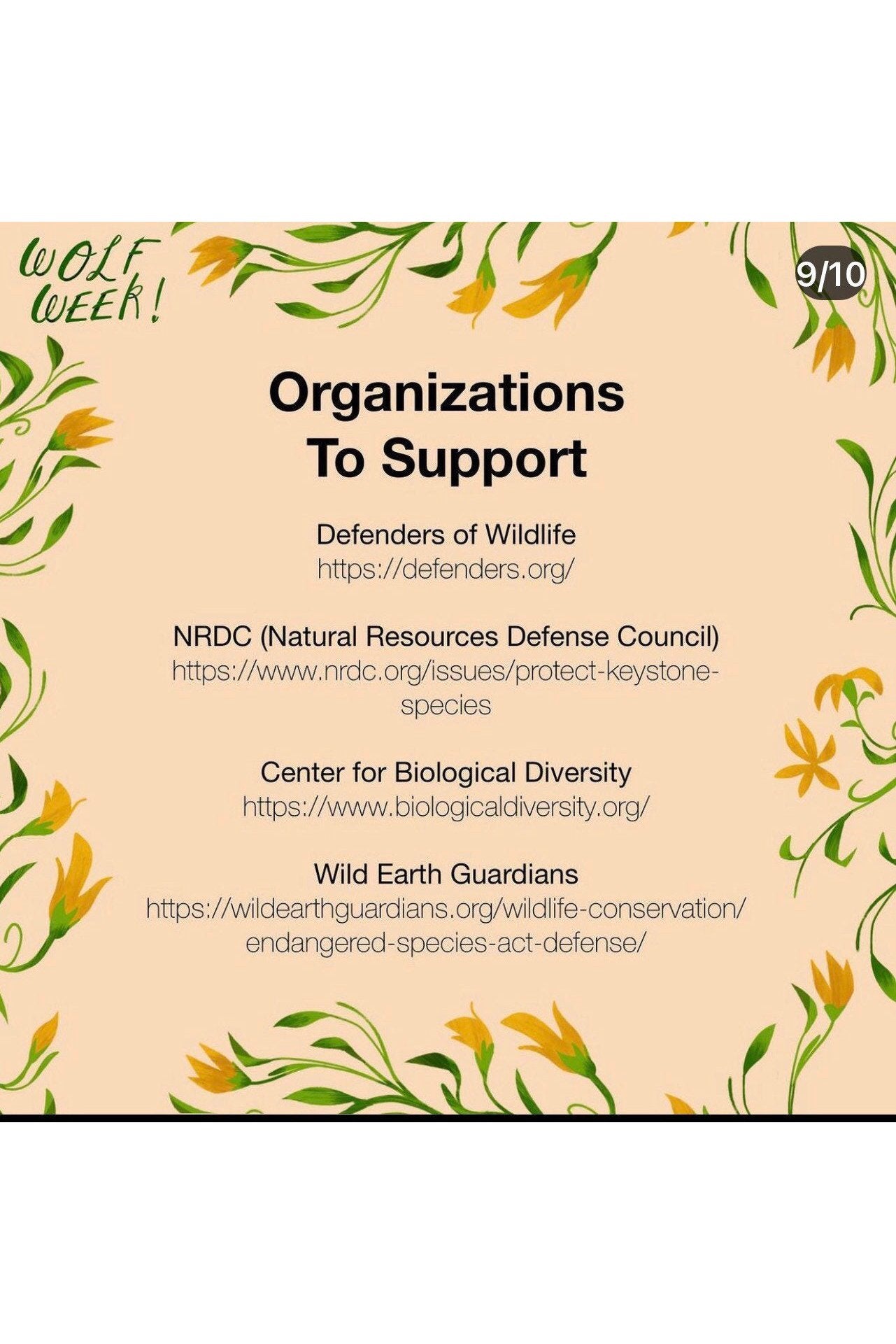 Wolf Week Charity organization donation list