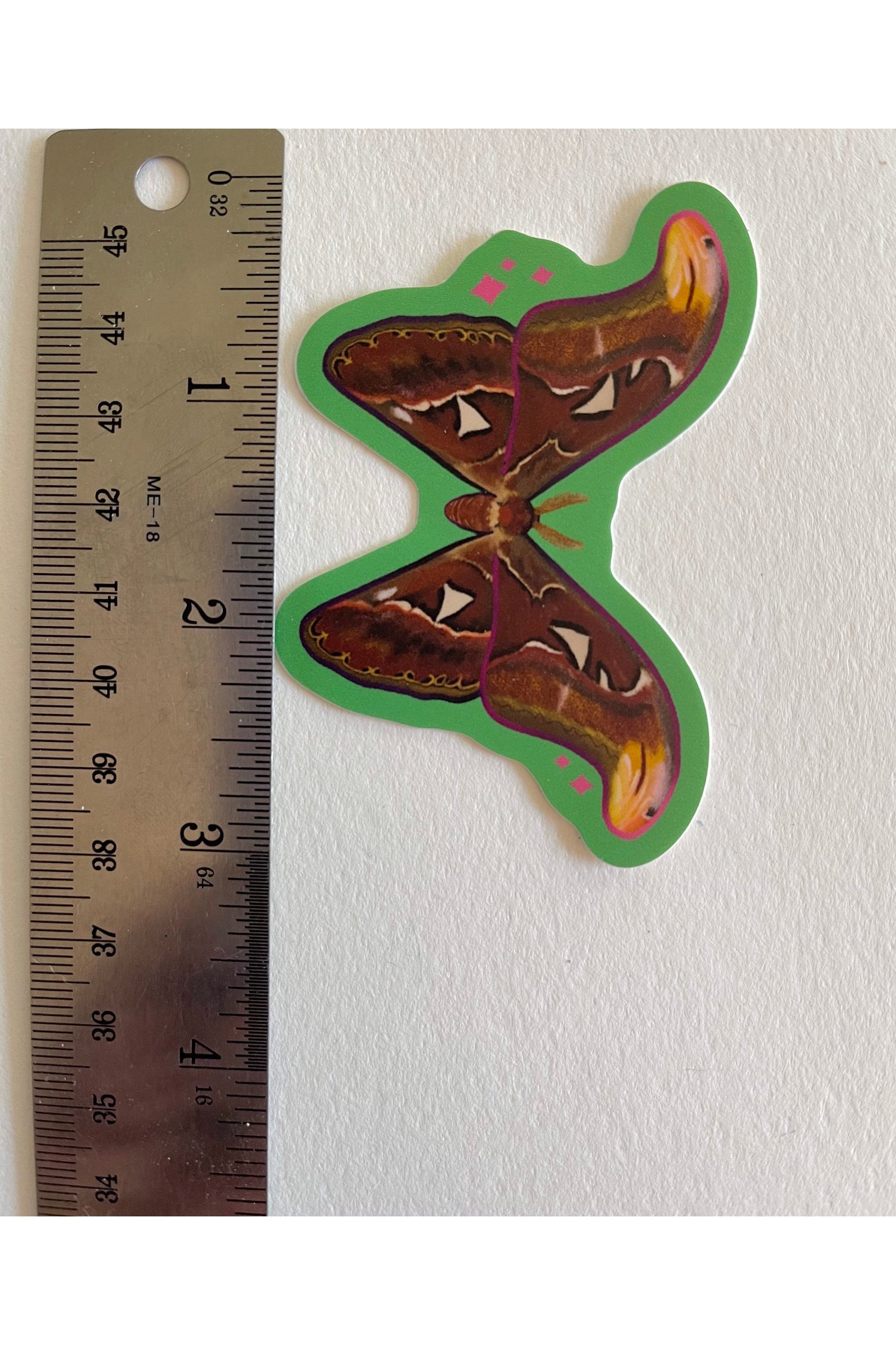Vinyl Sticker of an atlas Moth with a light green background