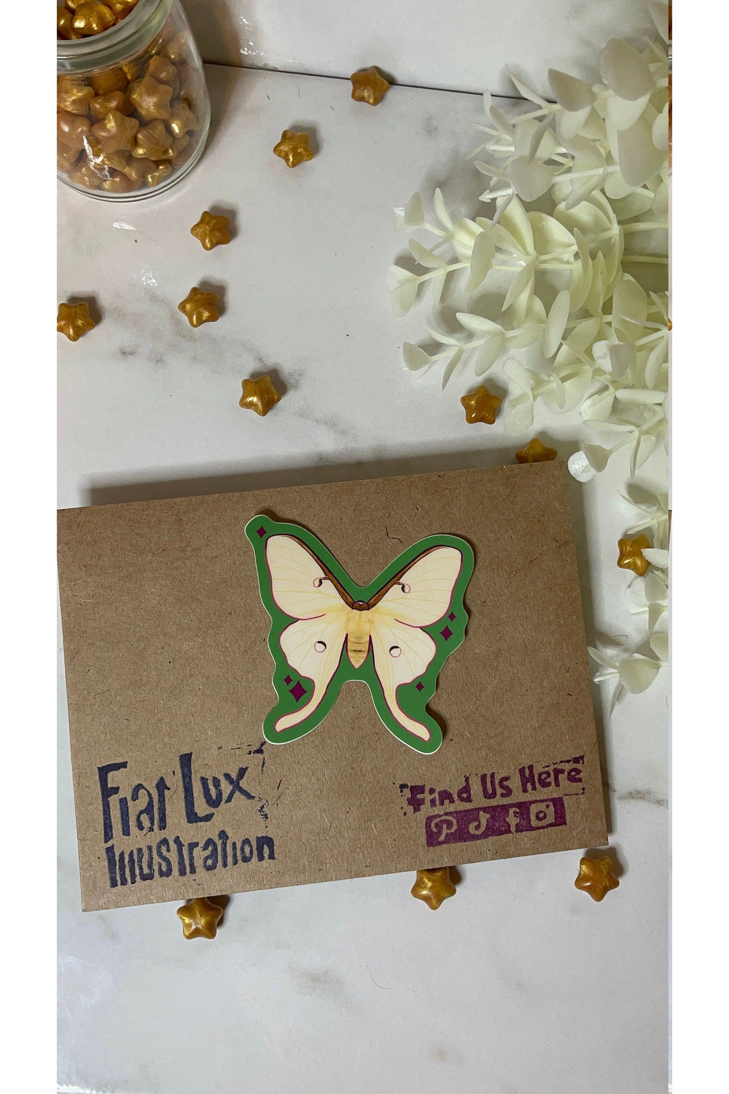 Moths Sticker Pack (Set of 4).