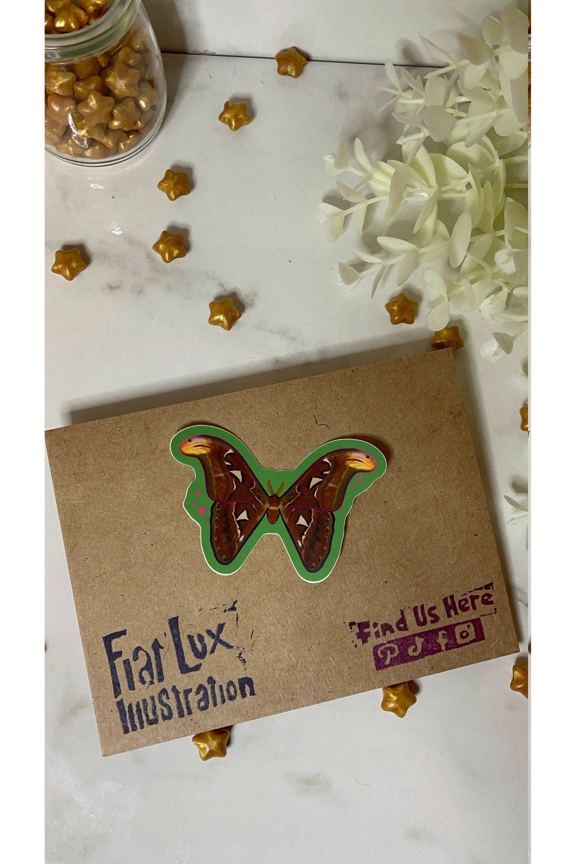 Moths Sticker Pack (Set of 4).