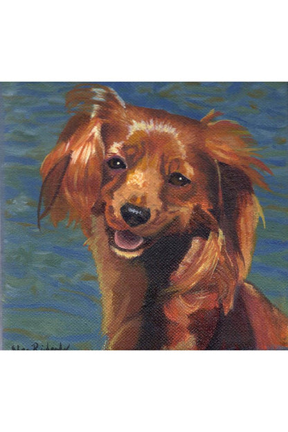 5x5  Pet Portrait Oil Painting - Custom.