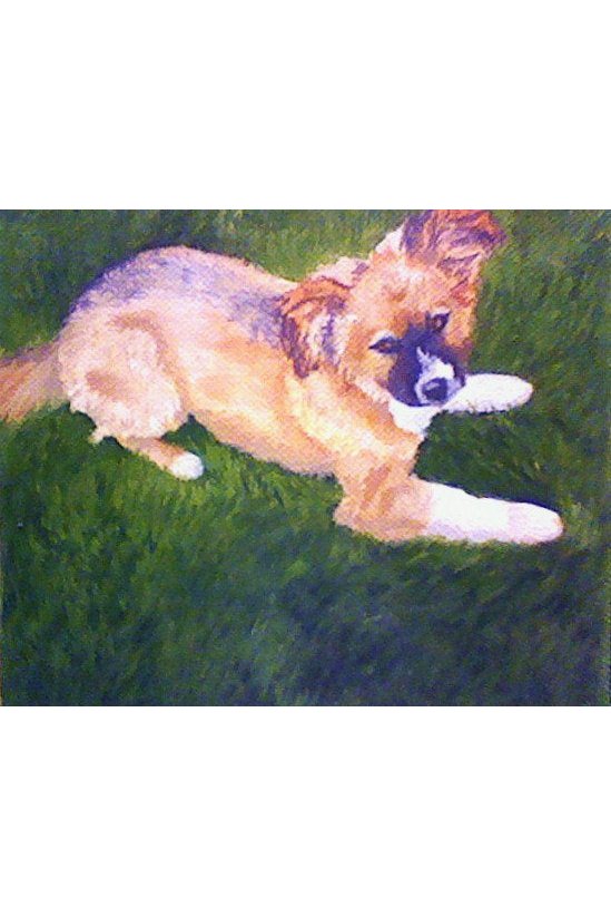 5x5  Pet Portrait Oil Painting - Custom.